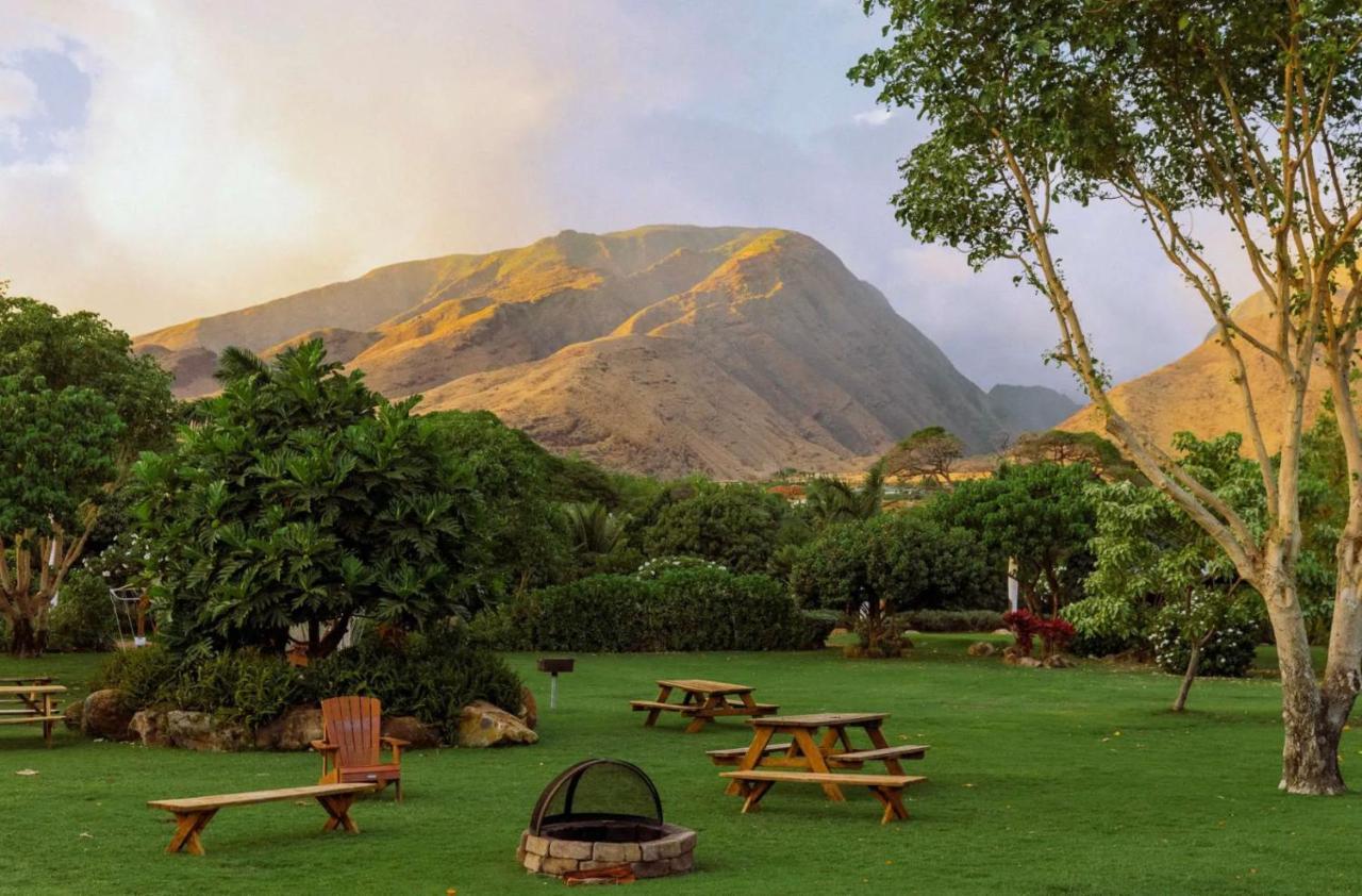 Explore Maui'S Diverse Campgrounds And Uncover The Island'S Beauty From Fresh Perspectives Every Day As You Journey With Aloha Glamp'S Great Jeep Equipped With A Rooftop Tent Paia Exterior foto